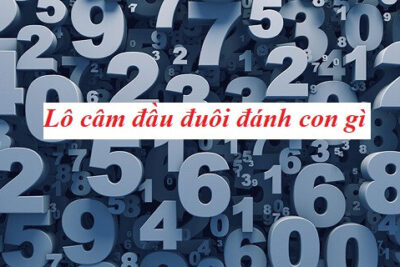 Tìm hiểu lô đầu câm đánh con gì để có tỷ lệ thắng cao